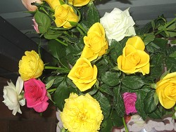 Party Flowers