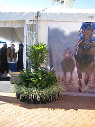 Event theming