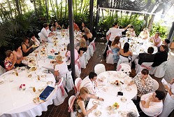 High Societea Party