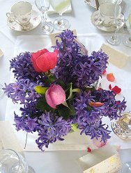 Hyacinths