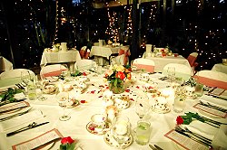 Dining at high societea