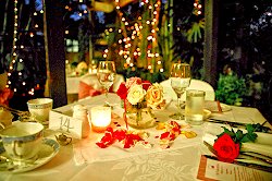 Dining at high societea
