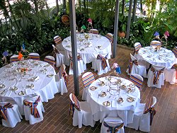 Table Setting 7